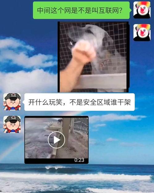 国产玩笑视频全集,笑料百出，欢乐无限