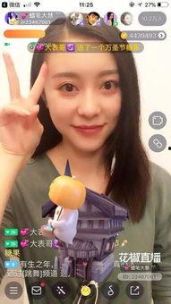 国产免费网红主播视频,魅力四溢的虚拟舞台