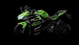 国产小忍者带妹视频,畅游游戏世界