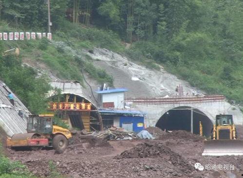 打造国产高速视频,引领视觉体验新篇章