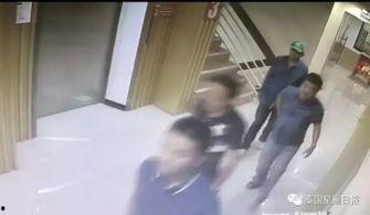 国产富商视频,财富传奇与商业智慧