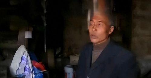 国产大陆天天弄老汉视频,揭秘国产影视中的独特现象