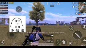 国产蹦蹦车视频,速度与激情的视觉盛宴