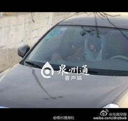 国内国产区免费视频车震,激情瞬间，揭秘国产影视新潮流