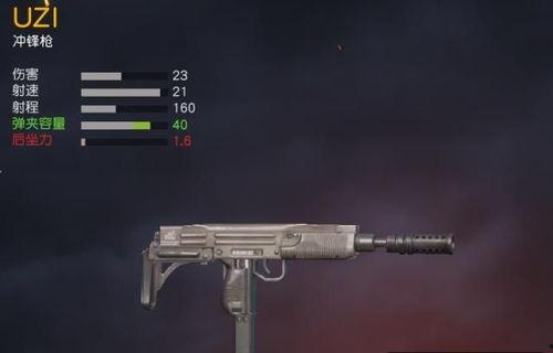 两把国产枪吃鸡视频,两把神枪吃鸡战场大放异彩