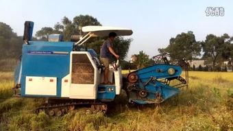 国产收割机热门视频大全,科技农业新风采