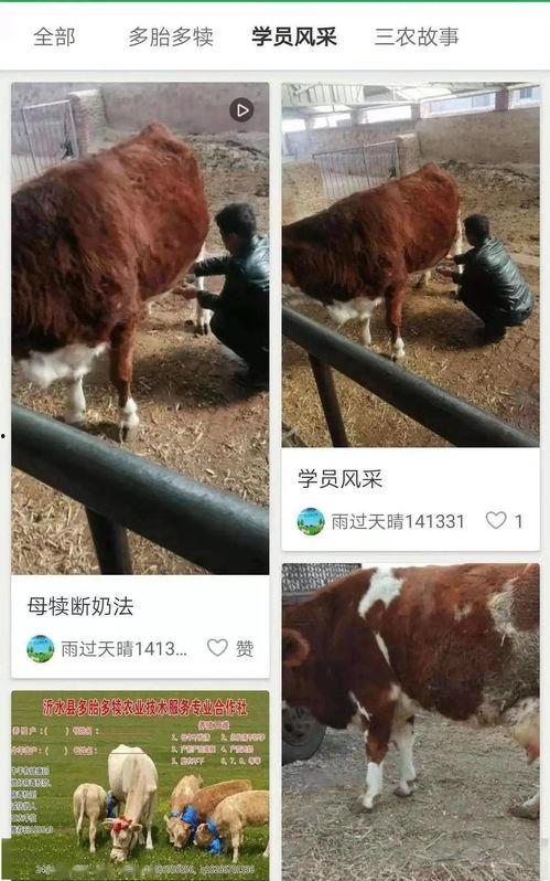 国产小熙公主牛牛视频,穿越时空的奇幻冒险之旅