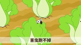 国产小青蛙视频哪里有,探寻自然之美，感受生态魅力